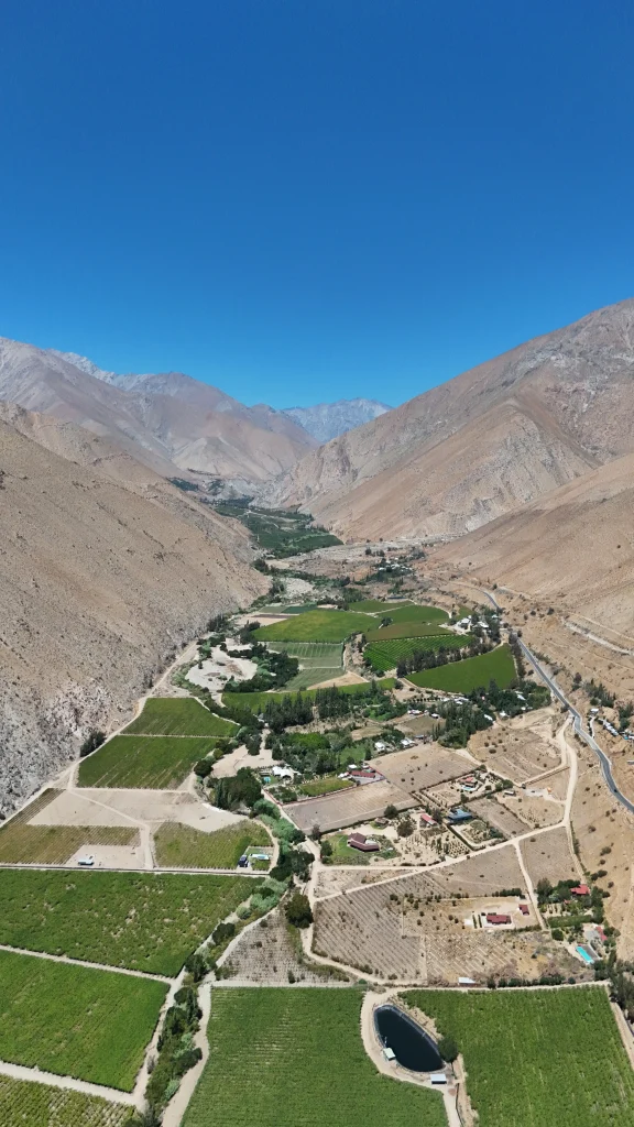 Vallée D'Elqui